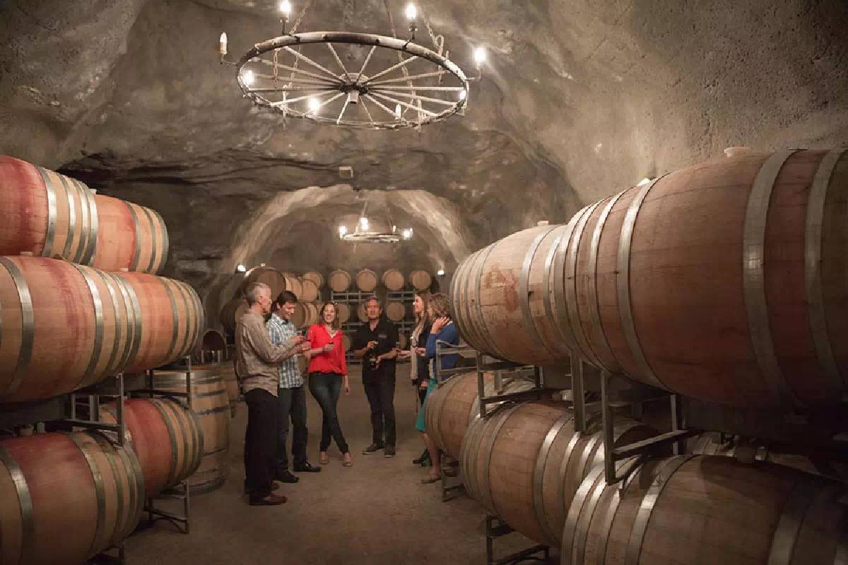 Bannockburn Full Day Wine Tasting Tour with Lunch and Sightseeing