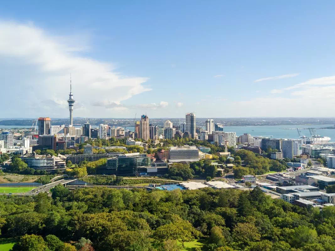 Auckland Sightseeing Tour with Wine Tastings in Kumeu Wine Country