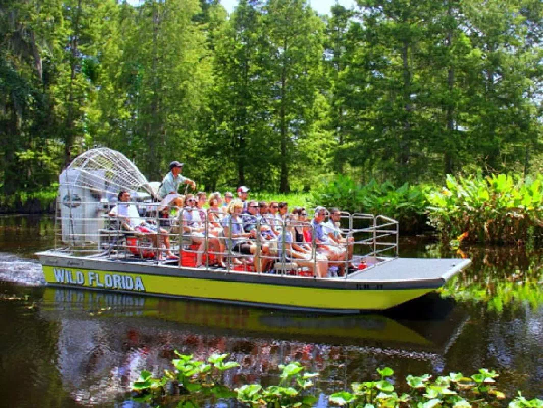 Half Day Everglades Airboat Ride, Animal Encounters & Lunch