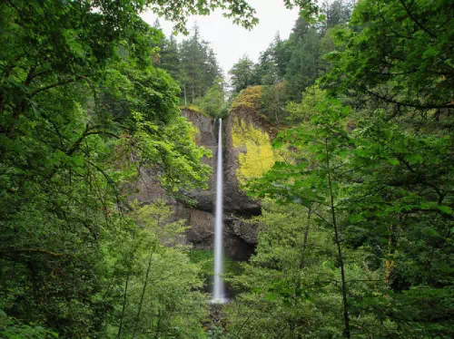Mount Hood and Gorge Waterfalls Full Day Guided Sightseeing Tour from Portland