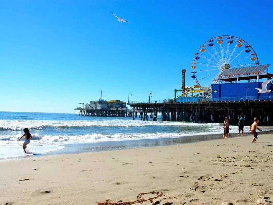 Los Angeles Guided Tour from Anaheim with Celebrity Homes & Santa Monica Beach