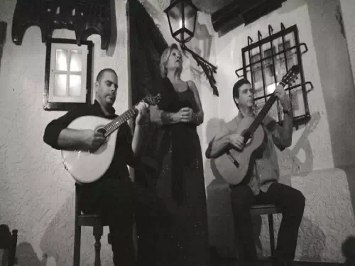 Porto Guided Evening Tour with Fado Music Show and 3-Course Dinner
