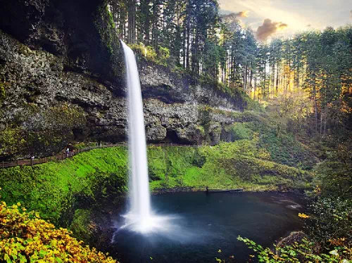 Silver Falls State Park and Willamette Valley Tour with Wine Tasting