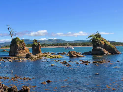 3-Day Oregon Coastline All-Inclusive Eco-Tour