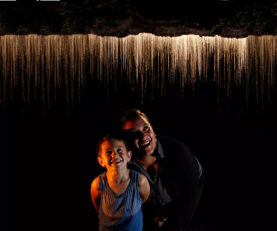 Waitomo Glowworm Caves Morning Tour from Rotorua