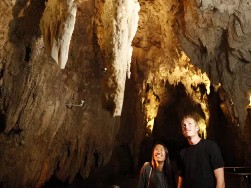 Waitomo Glowworm Caves Morning Tour from Rotorua