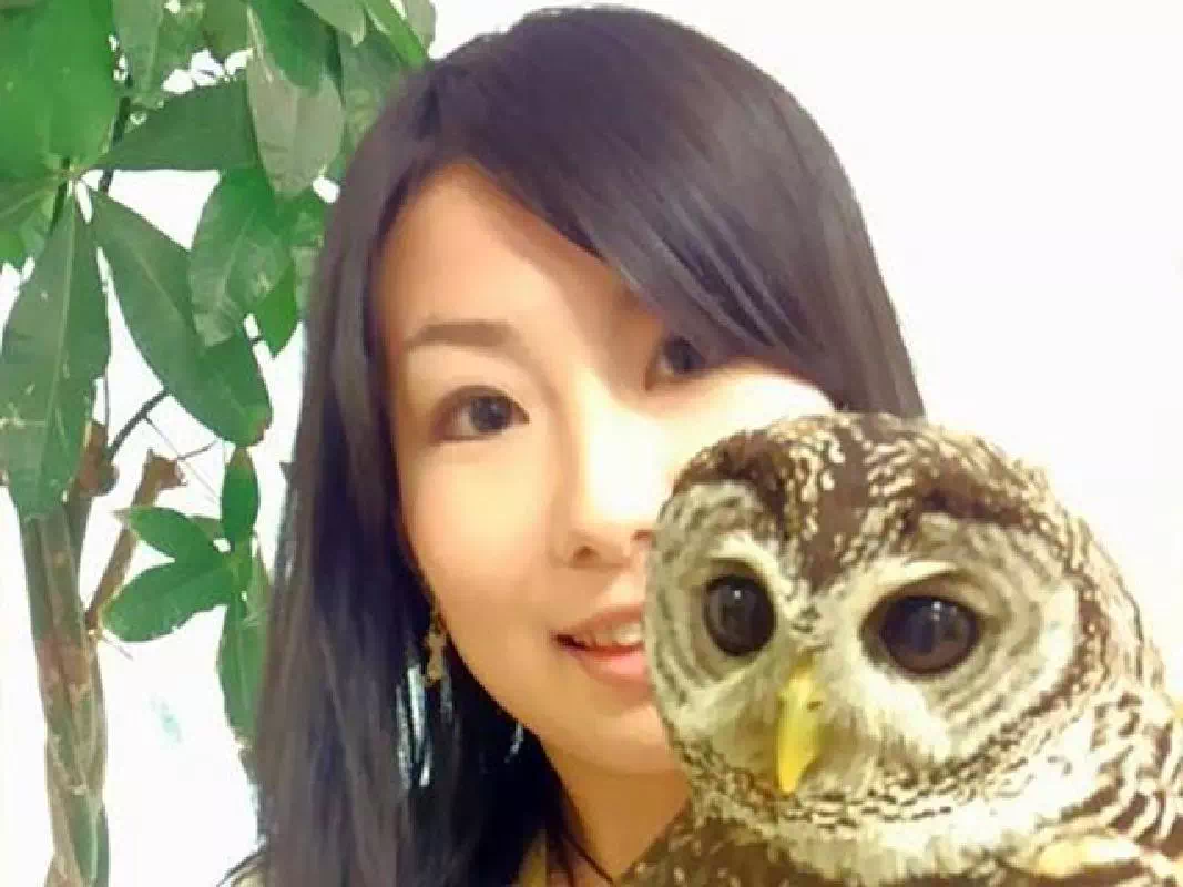 Hakata Owl Cafe Reservations in Fukuoka