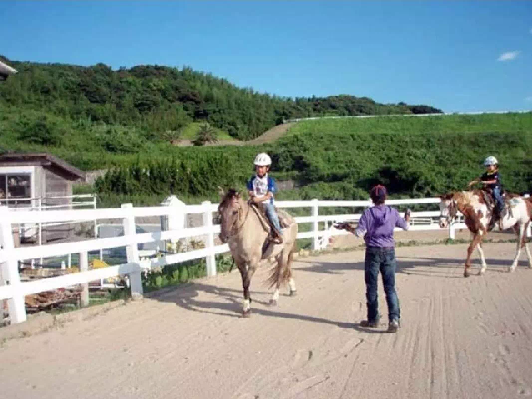 Half Day Horseback Riding Experience for New Riders in Munakata