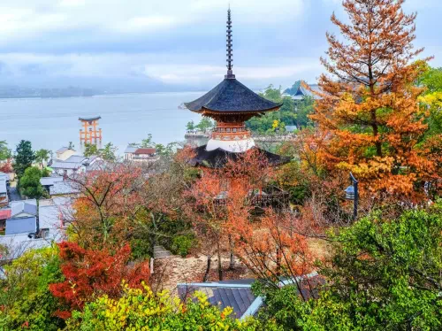 Best Sights of Hiroshima and Miyajima Day Tour from Central Hiroshima