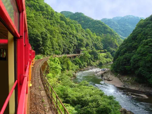 Kyoto Tour to Arashiyama, Fushimi Inari, Kiyomizudera, Kinkakuji & Sanjusangendo