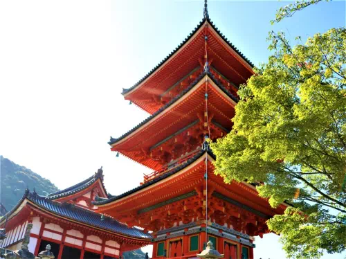 Kyoto Tour to Arashiyama, Fushimi Inari, Kiyomizudera, Kinkakuji & Sanjusangendo