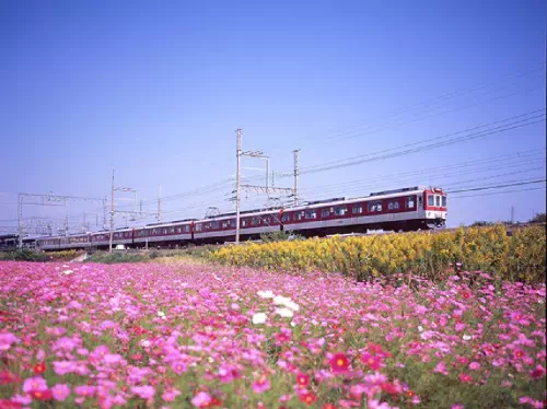 Kintetsu Rail Pass Reservations