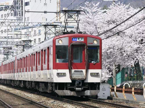 Kintetsu Rail Pass Reservations