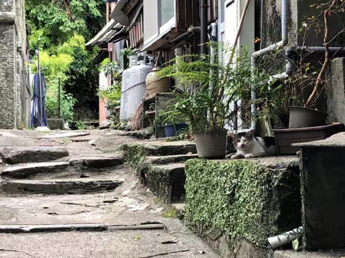 Nagasaki Local Street Morning Walking Tour with English-Speaking Guide