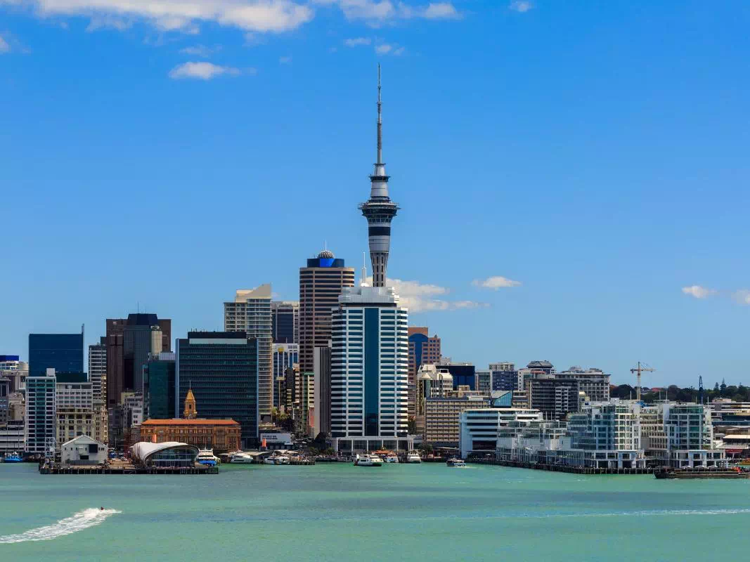 Auckland City Highlights Tour with Sky Tower Admission