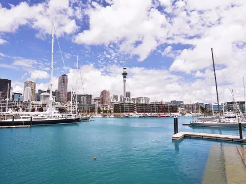 Auckland City Highlights Tour with Sky Tower Admission