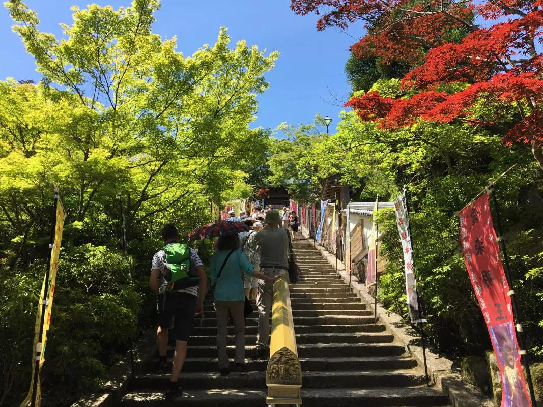 Miyajima, Itsukushima Shrine and Mt. Misen Trekking Tour (English or French)
