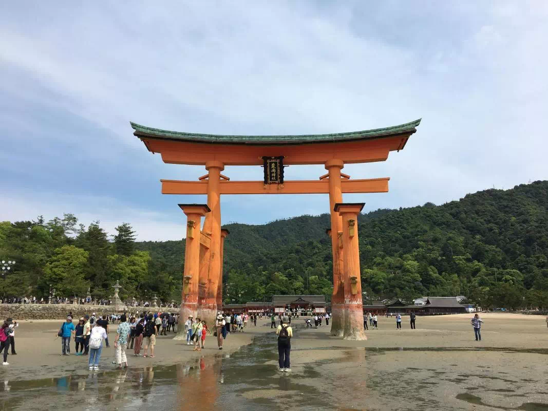 Miyajima, Itsukushima Shrine and Mt. Misen Trekking Tour (English or French)