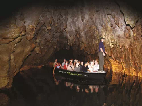 Hobbiton and Waitomo Glowworm Cave Tour One Way from Auckland