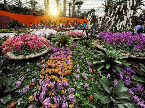 Singapore Gardens by the Bay Ticket with Hop On Hop Off Tour