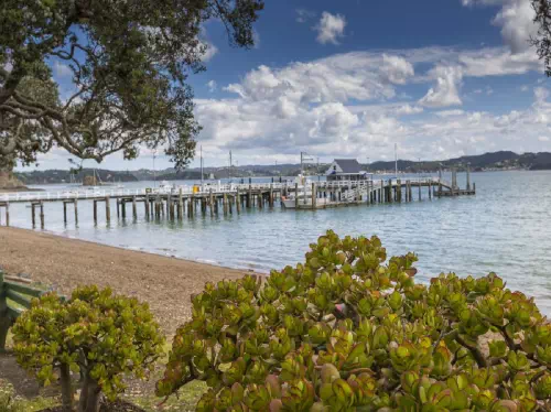 Auckland to Bay of Islands Half Day Coach Tour