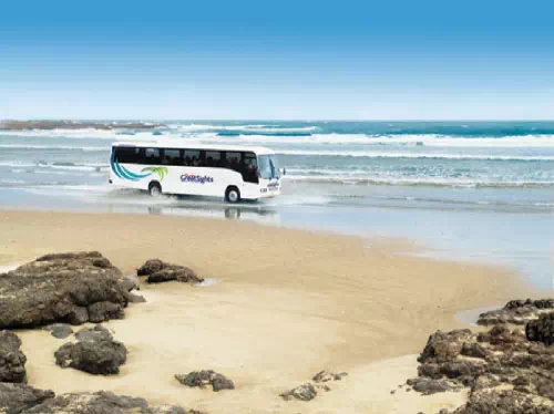 Auckland to Bay of Islands Half Day Coach Tour