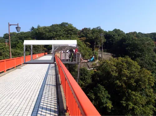 Extreme 30 Meter Kaiun Bridge Bungy Jump in Nara