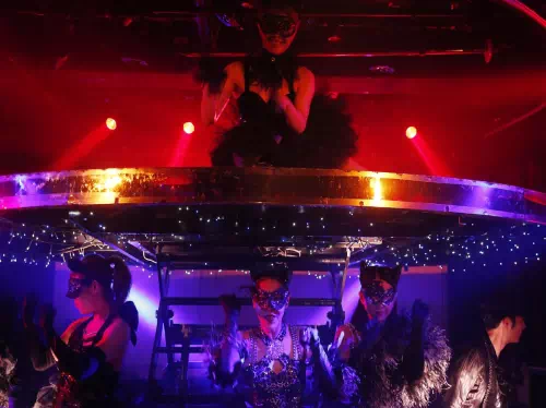 Glamorous Cabaret Dinner Show at Black Swan Lake in Shinjuku