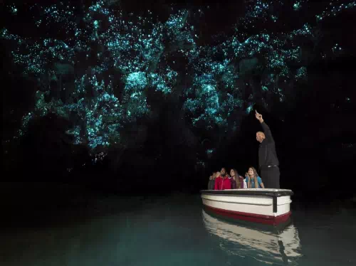 Waitomo Caves and Rotorua Full Day Tour from Auckland with ZORB Experience