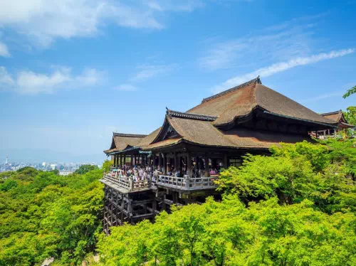 Kyoto Sightseeing Full-Day Bus Tour from Osaka with English-Speaking Guide