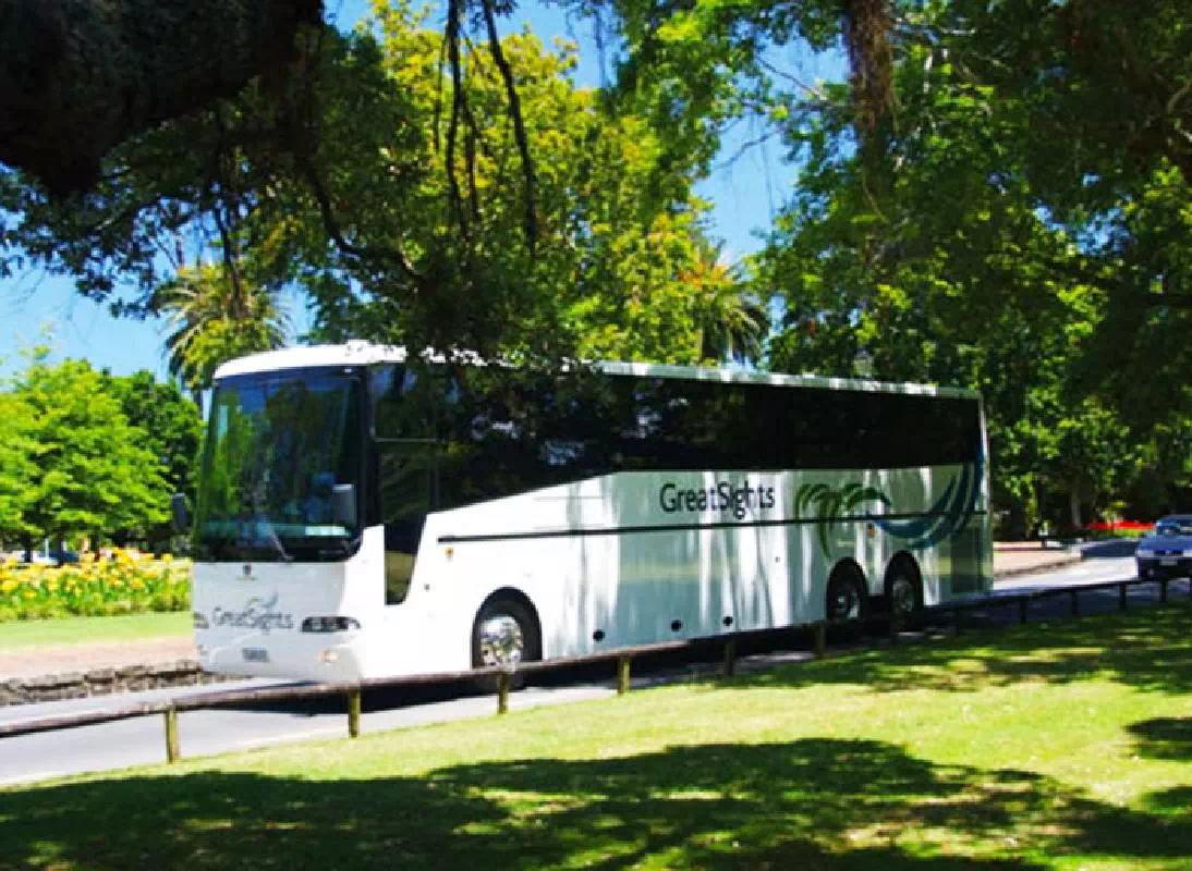 Bay of Islands to Auckland Half Day Tour by Luxury Coach