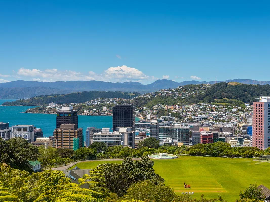 Full Day Guided Tour of Wellington with Beehive Building and Mount Victoria