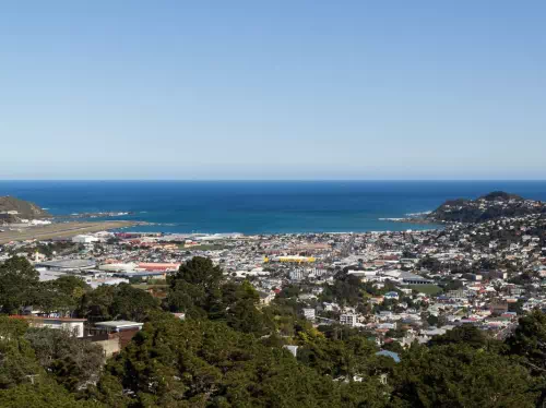 Full Day Guided Tour of Wellington with Beehive Building and Mount Victoria