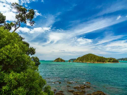 Bay of Islands and Historic Russell Tour from Auckland
