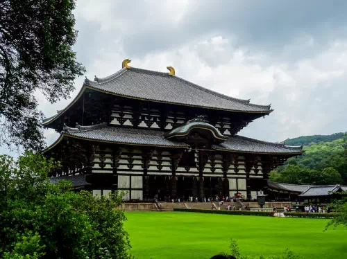 Kyoto & Nara 1-Day Tour to Arashiyama, Fushimi Inari & Nara Deer Park from Kyoto