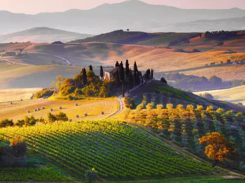 Tuscany Day Trip from Rome with Montalcino Wine Tasting and Pienza Visit
