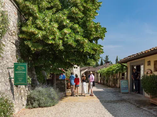 Tuscany Day Trip from Rome with Montalcino Wine Tasting and Pienza Visit