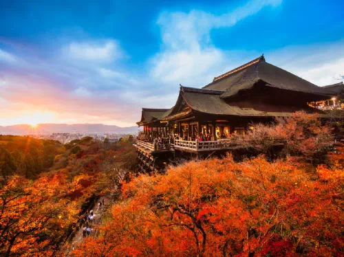 Arashiyama & Sagano Scenic Railway Tour with Kyoto Highlights from Osaka