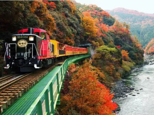 Arashiyama & Sagano Scenic Railway Tour with Kyoto Highlights from Osaka