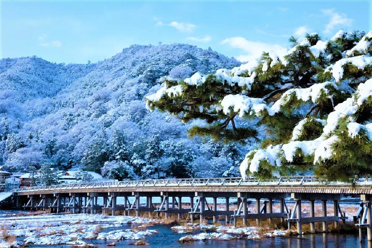 Kyoto 1-Day Bus Tour to Arashiyama, Fushimi Inari, Kiyomizu-dera & Kinkakuji