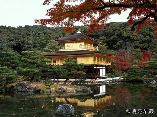 Kyoto Private Taxi Tour with Customizable Itinerary & English-Speaking Guide