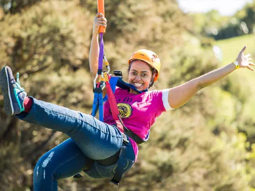 Waiheke Island Zipline Adventure and Wine Tasting with Lunch from Auckland