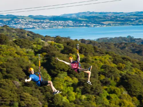 Waiheke Island Zipline Adventure and Wine Tasting with Lunch from Auckland