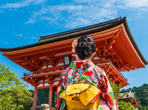 Highlights of Kyoto and Nara Tour from Osaka with an English-Speaking Guide