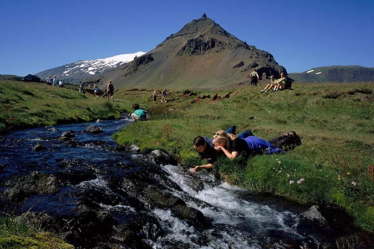 Snaefellsnes National Park and Djupalonssandur Tour from Reykjavik
