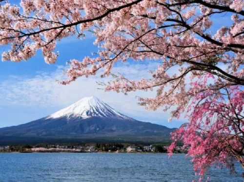 Mt Fuji Tour from Tokyo with Lake Kawaguchi Cruise and Ropeway Ride