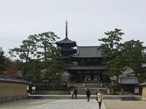 Five Hour Nishinokyou and Saboji Temple Sightseeing Taxi Tour from Nara