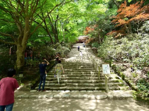 Five Hour Nishinokyou and Saboji Temple Sightseeing Taxi Tour from Nara
