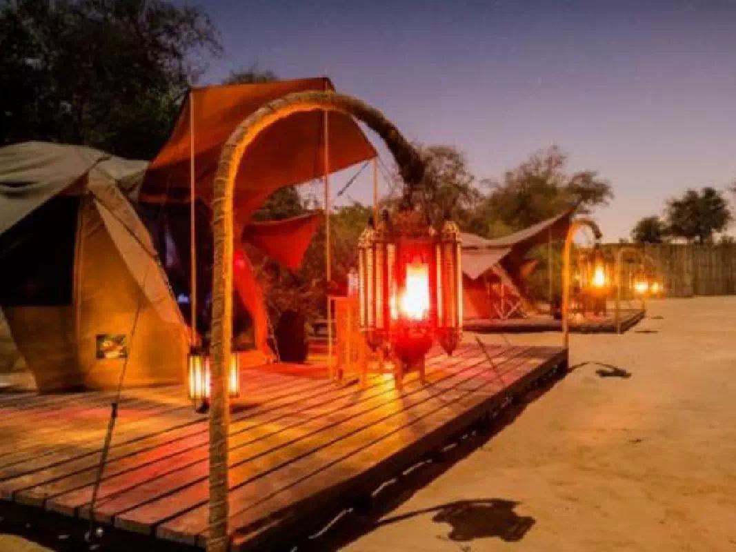 Dubai Overnight Desert Safari Tour with Camel Ride and BBQ Dinner