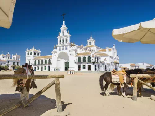 Donana National Park Day Tour from Seville with 4WD Tour and El Rocio Visit
